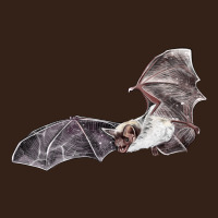 Mexican Free Tailed Bat Heavy Core Tee | Teevron