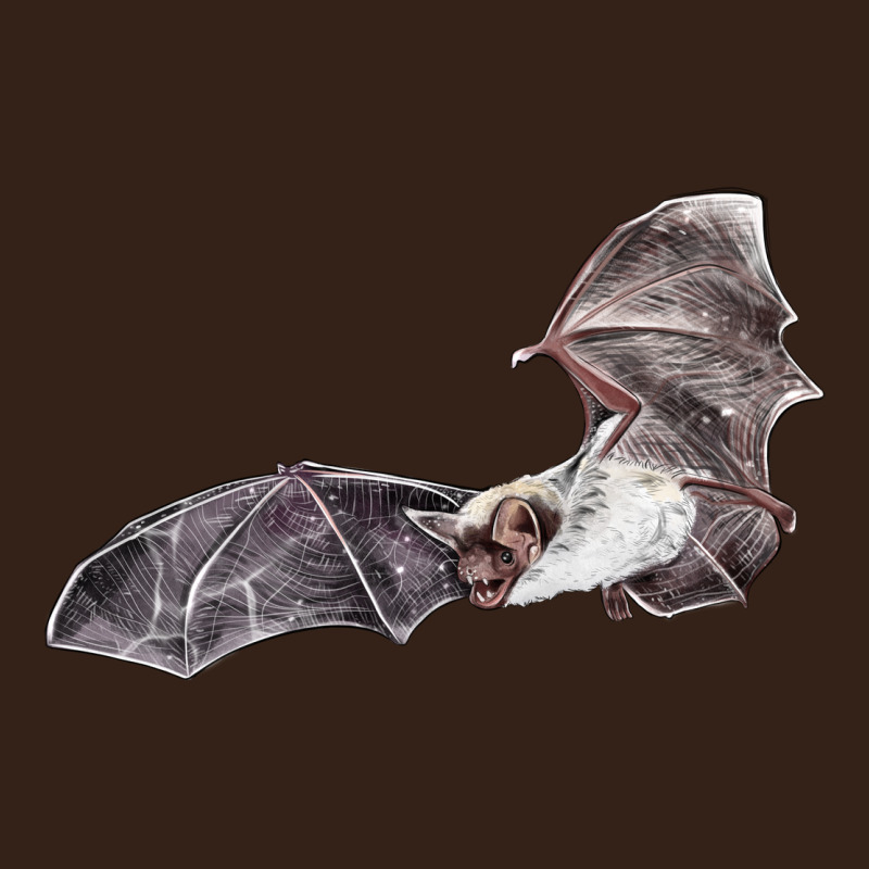 Mexican Free Tailed Bat Heavy Core Tee by LillyAllenDesigns | Teevron