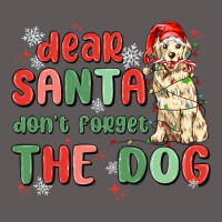 Dear Santa Dont Forget The Dog Premium Hoodie | Teevron