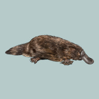 Platypus Heavy Core Tee | Teevron