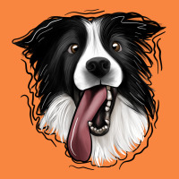 Border Collie Premium Sweatshirt | Teevron