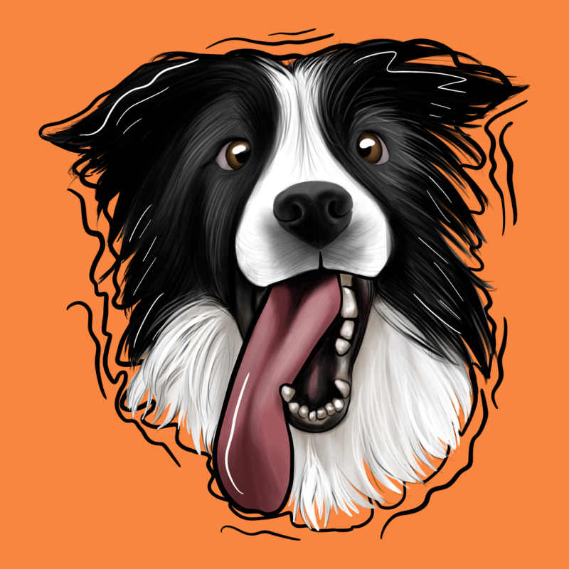 Border Collie Premium Sweatshirt by Jasminsmagicworld | Teevron