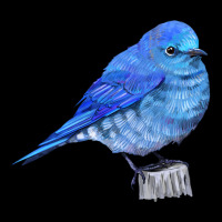 Mountain Bluebird Heavy Core Tee | Teevron