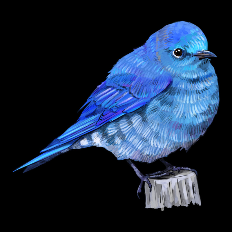Mountain Bluebird Heavy Core Tee by LillyAllenDesigns | Teevron