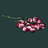 Red Grape Premium Hoodie | Teevron
