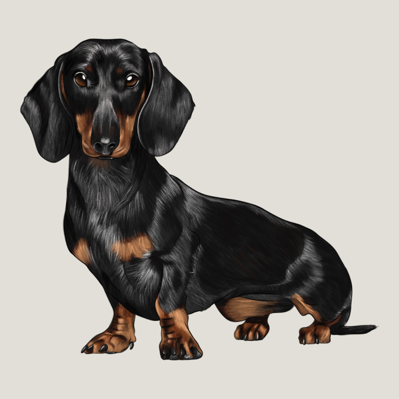 Dachshund Dog Illustrations Heavy Core Tee by LillyAllenDesigns | Teevron