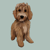 Maltipoo Heavyweight Hoodie | Teevron