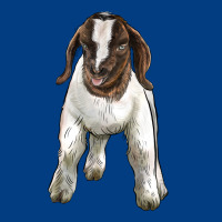 Baby Boer Goat Premium Sweatshirt | Teevron