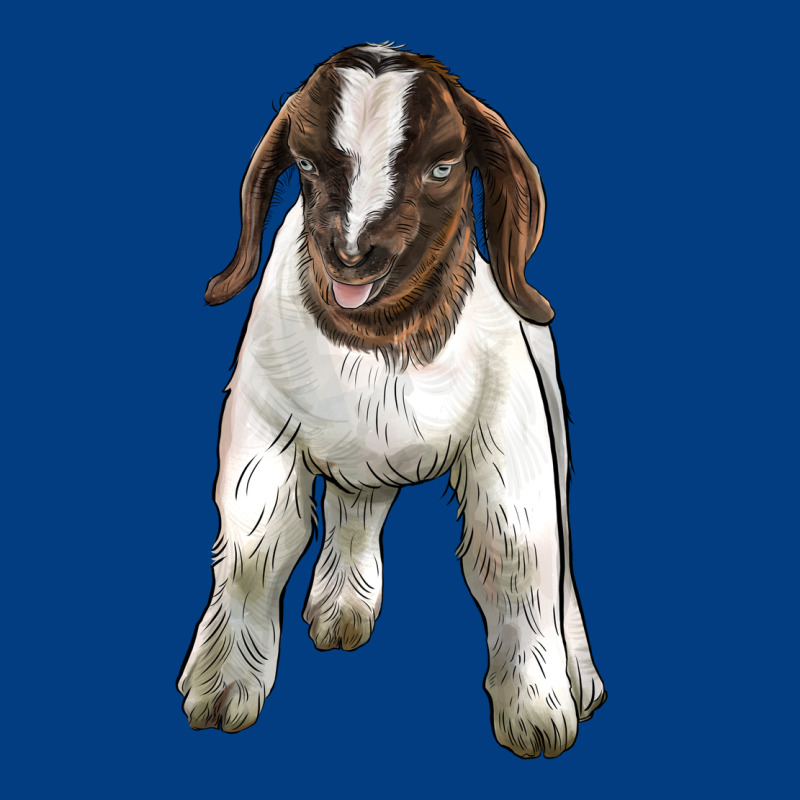 Baby Boer Goat Premium Sweatshirt by LillyAllenDesigns | Teevron