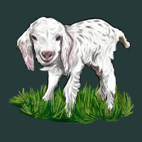 Baby Angora Goat Premium Sweatshirt | Teevron