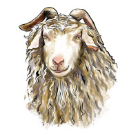 Angora Goat Face | Teevron