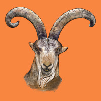 Spanish Goat Face Premium Sweatshirt | Teevron