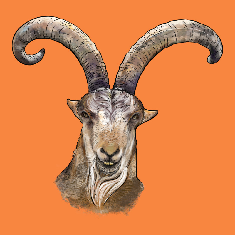 Spanish Goat Face Premium Sweatshirt by LillyAllenDesigns | Teevron