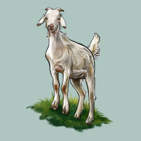 Kiko Goat Premium Sweatshirt | Teevron