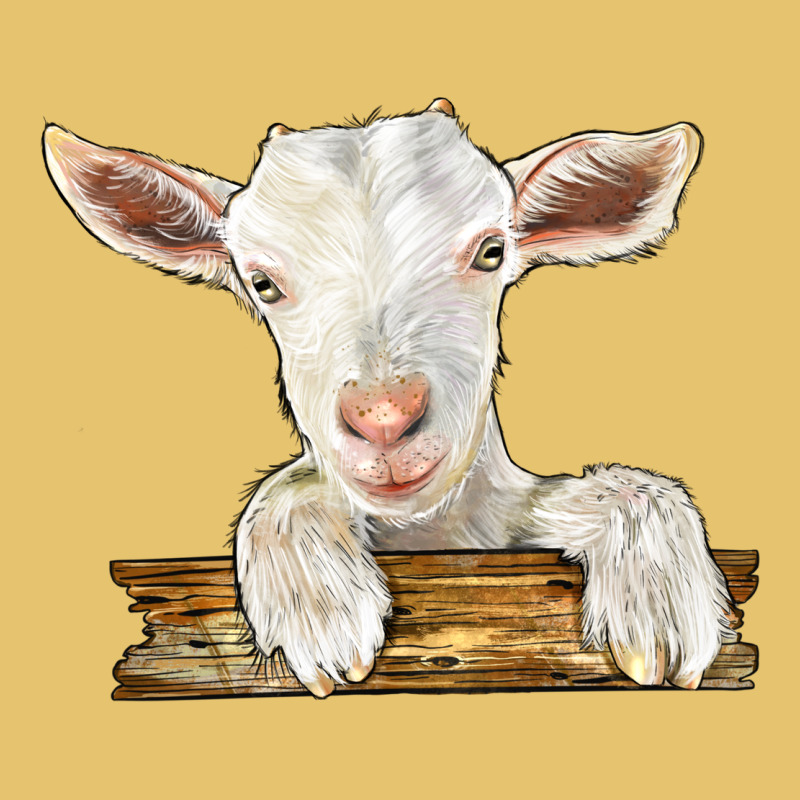 Baby Cashmere Goat Premium Sweatshirt by LillyAllenDesigns | Teevron