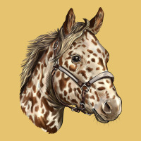 Appaloosa Horse Premium Sweatshirt | Teevron