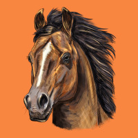 Quarter Horse Portrait Premium Sweatshirt | Teevron