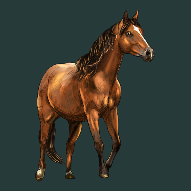 Quarter Horse Premium Sweatshirt by LillyAllenDesigns | Teevron