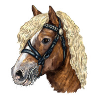 Haflinger Avelignese Horse Premium Sweatshirt | Teevron