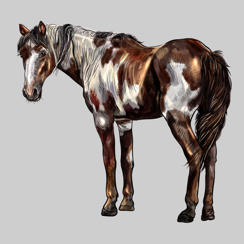 Mustang Horse Premium Sweatshirt by LillyAllenDesigns | Teevron