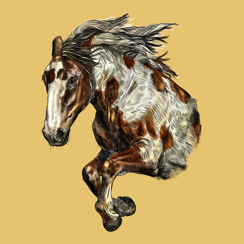 Mustang Horse Premium Sweatshirt by LillyAllenDesigns | Teevron