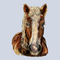 Belgian Horse Premium Sweatshirt | Teevron