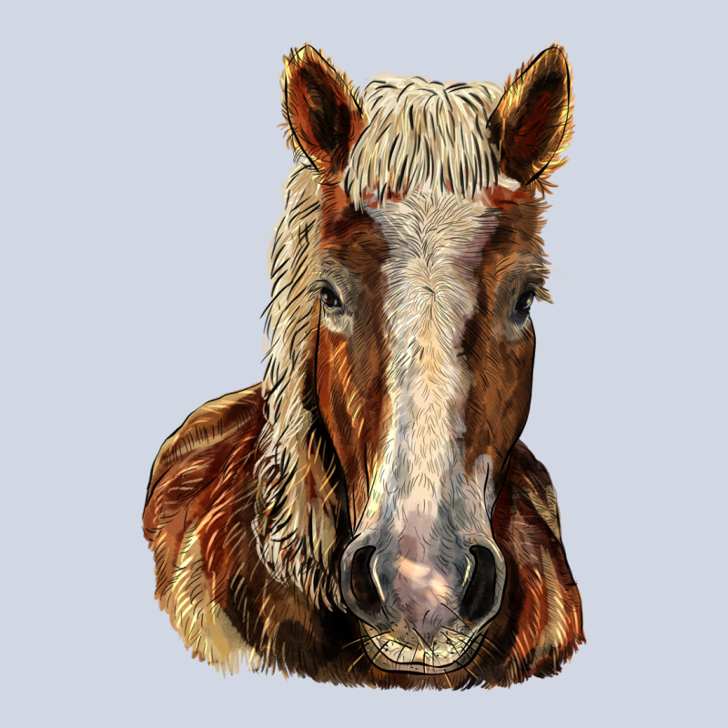 Belgian Horse Premium Sweatshirt by LillyAllenDesigns | Teevron