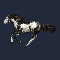 American Paint Horse Premium Sweatshirt | Teevron