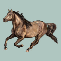 Missouri Fox Trotter Horse Premium Sweatshirt | Teevron