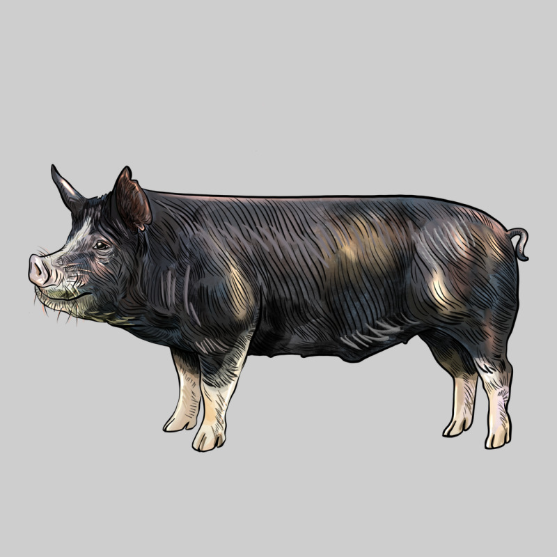 Berkshire Pig Premium Sweatshirt by LillyAllenDesigns | Teevron
