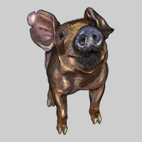 Baby Duroc Pig Premium Sweatshirt | Teevron