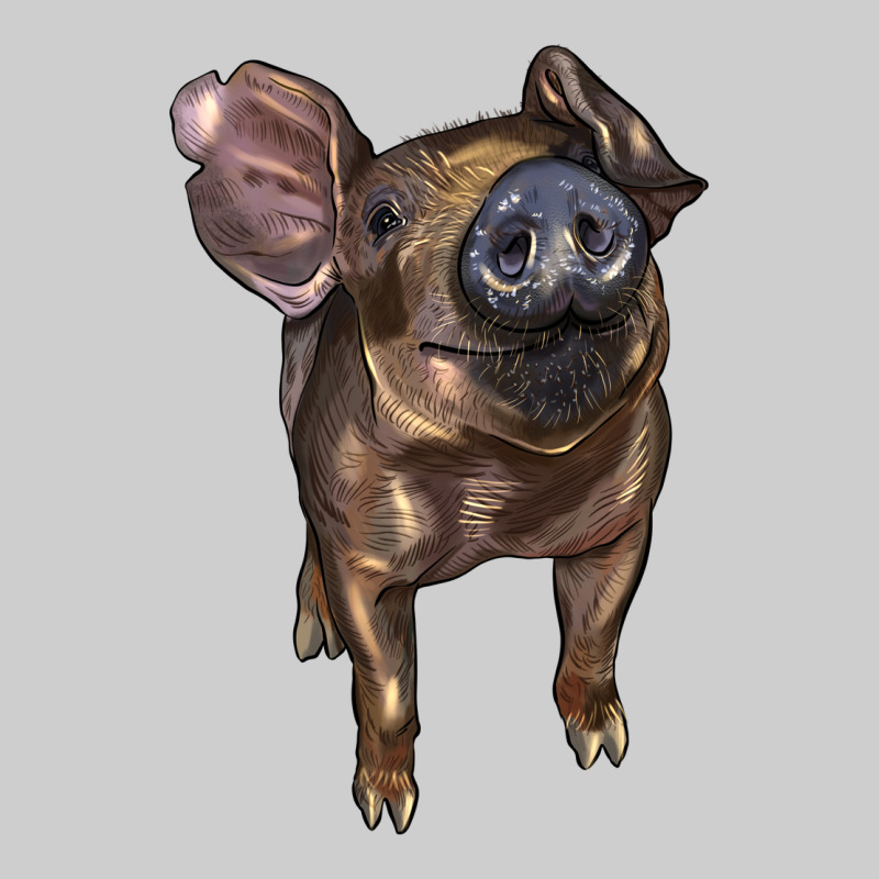 Baby Duroc Pig Premium Sweatshirt by LillyAllenDesigns | Teevron