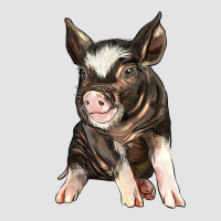 Baby Berkshire Pig Premium Sweatshirt | Teevron
