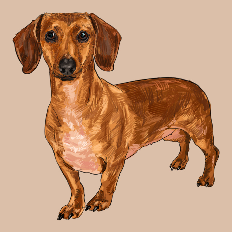Dachshund Urban Heavy Tee by RanaPortraitStore | Teevron