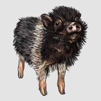 Baby Hampshire Pig Premium Sweatshirt | Teevron