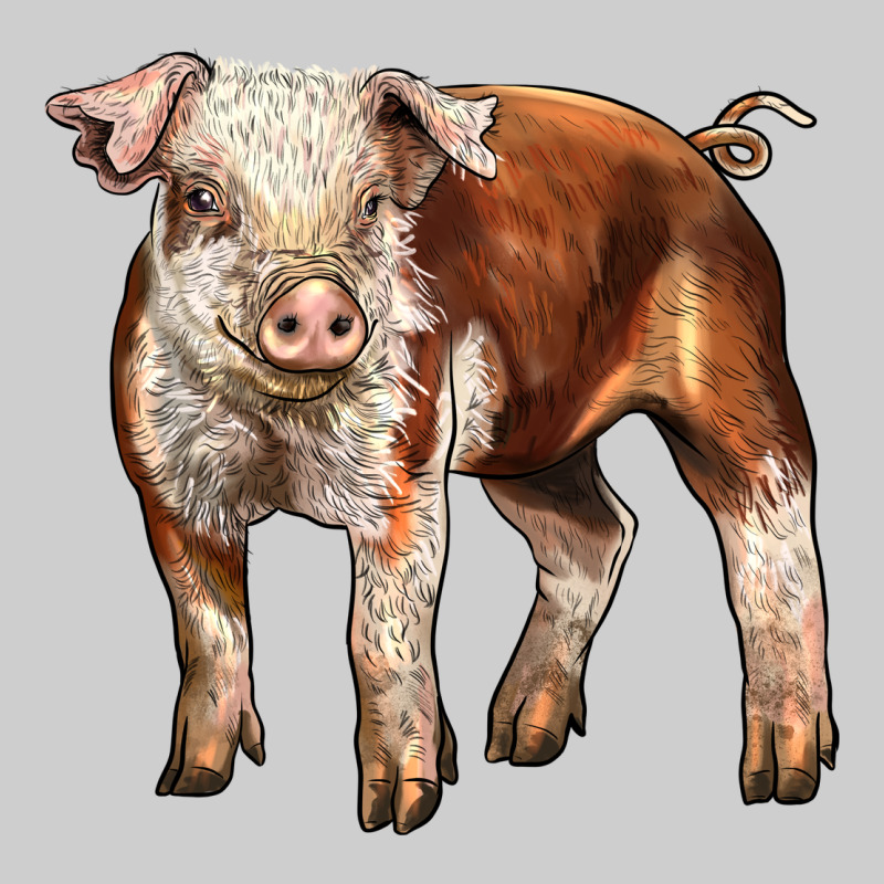 Baby Hereford Pig Premium Sweatshirt by LillyAllenDesigns | Teevron