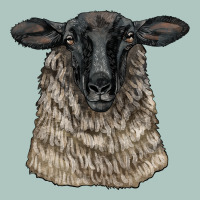 Suffolk Sheep Head Premium Sweatshirt | Teevron