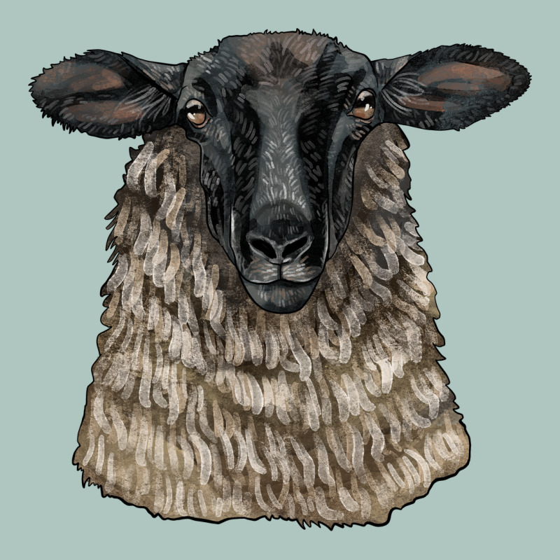 Suffolk Sheep Head Premium Sweatshirt by LillyAllenDesigns | Teevron