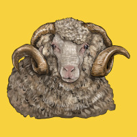 Merino Wool Sheep Head Premium Sweatshirt | Teevron