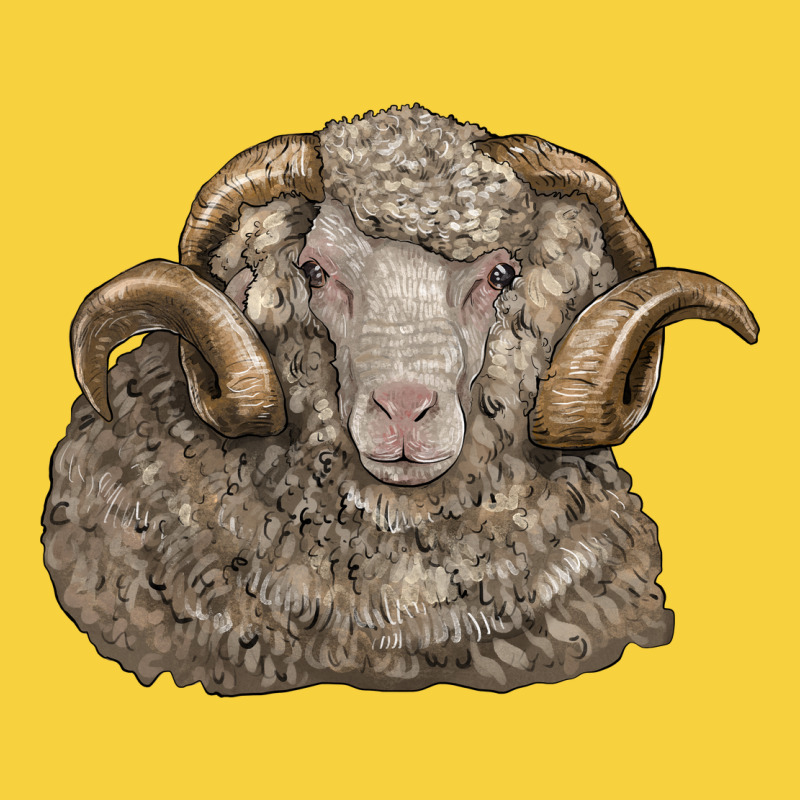 Merino Wool Sheep Head Premium Sweatshirt by LillyAllenDesigns | Teevron