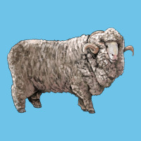 Rambouillet Sheep Premium Sweatshirt | Teevron