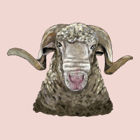 Rambouillet Sheep Head Premium Sweatshirt | Teevron