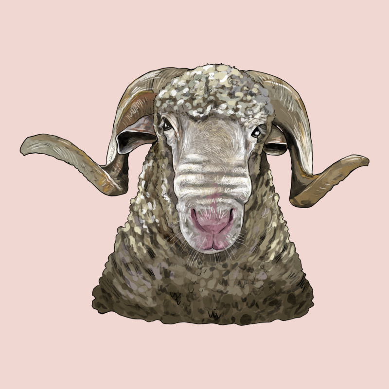 Rambouillet Sheep Head Premium Sweatshirt by LillyAllenDesigns | Teevron