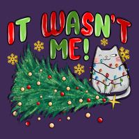 It Wasn't Me! Christmas Cat Premium Hoodie | Teevron