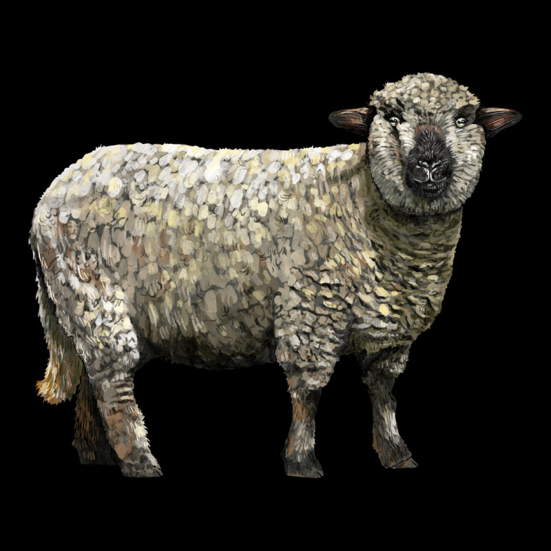 Hampshire Sheep Premium Sweatshirt by LillyAllenDesigns | Teevron