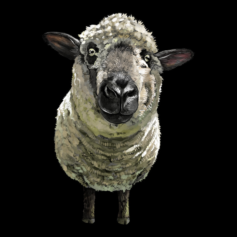 Hampshire Sheep Head Premium Sweatshirt by LillyAllenDesigns | Teevron