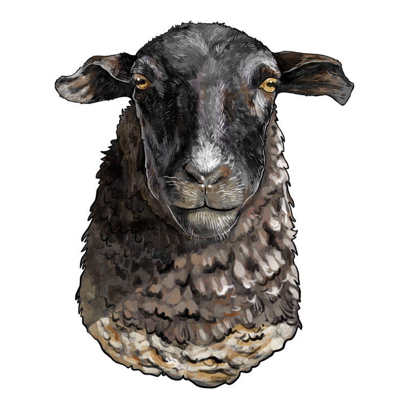 Dorper Sheep Head Premium Sweatshirt by LillyAllenDesigns | Teevron