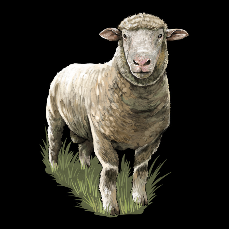 Dorset Sheep Premium Sweatshirt by LillyAllenDesigns | Teevron