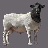 Dorper Sheep Premium Sweatshirt | Teevron