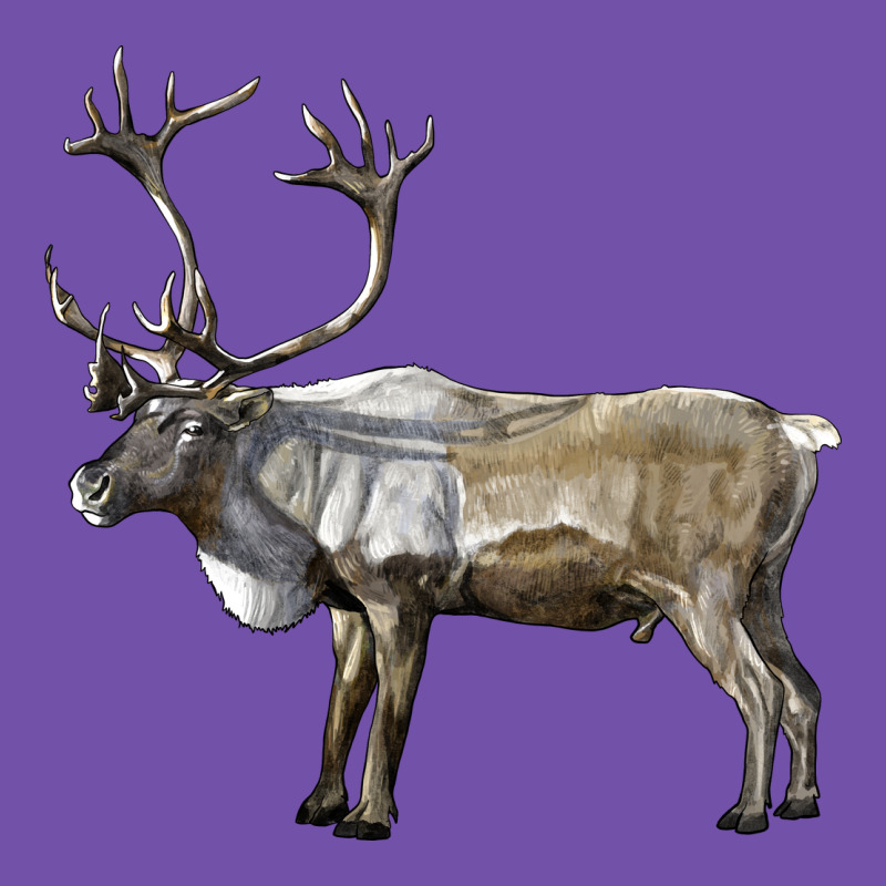 Reindeer Buck Deer Premium Sweatshirt by LillyAllenDesigns | Teevron